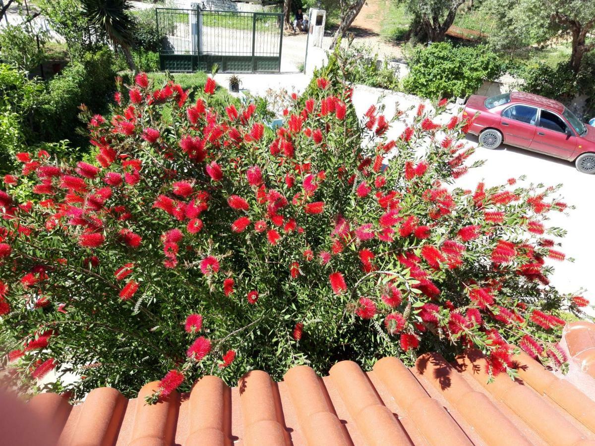 Vila Zogaj Ksamil Dış mekan fotoğraf